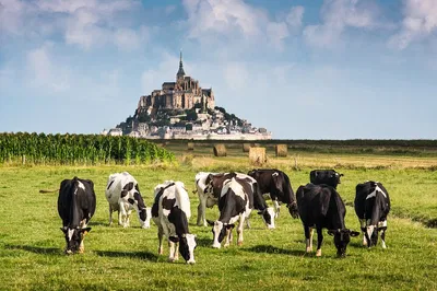 Unveiling Mont Saint Michel: A Fairytale Day Trip from Paris