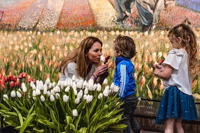 Keukenhof Gardens & Tulip Experience: A Luxurious Floral Escape from Amsterdam