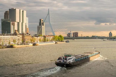 Explore Rotterdam & The Hague: A Spanish-Guided Adventure!