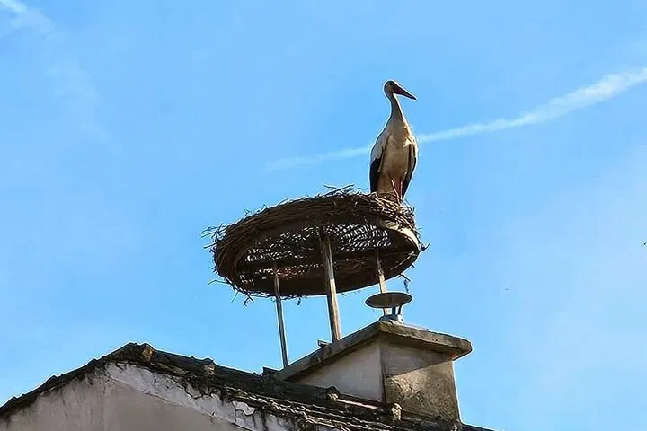 img0