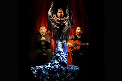 Immerse Yourself in Barcelona's Soul: Flamenco, Guitars & Tapas at Casa Sors!