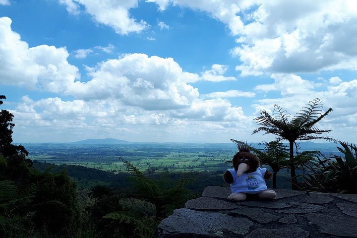 Experience Image img4