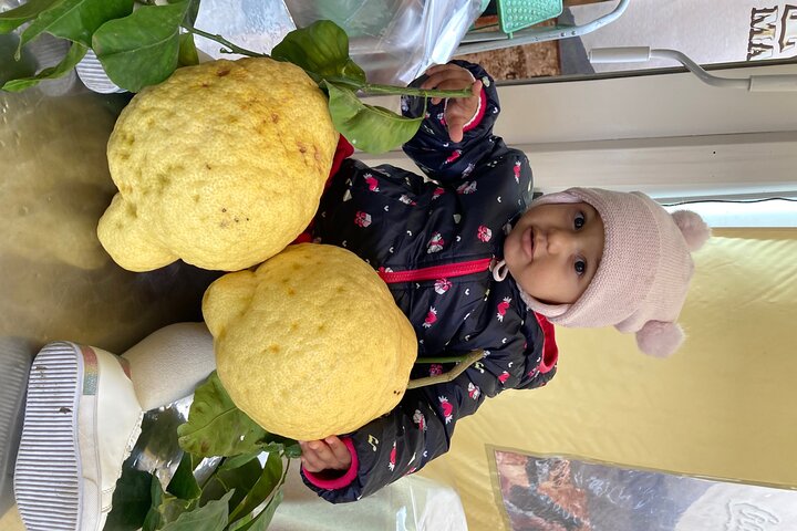 Experience Image img3