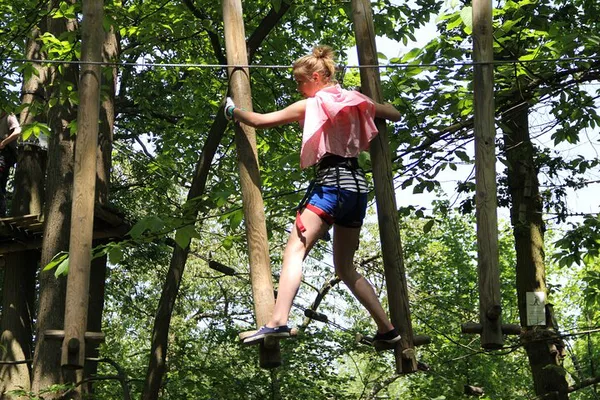 Thrill-Seeker's Paradise: Conquer Sherwood Parc's Treetops!