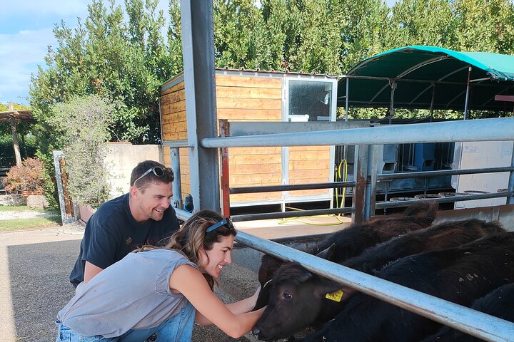 Experience Image img3