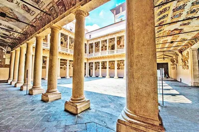 Uncover Padua's Charms: A Guided Walking Tour Through Art, Culture, and History