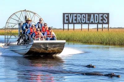 Everglades Adventure: Miami Airboat Tour & Wildlife Encounter