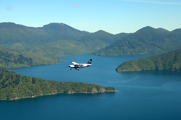 Soar Above: Ultimate Queen Charlotte Sounds Scenic Flight & Beach Escape