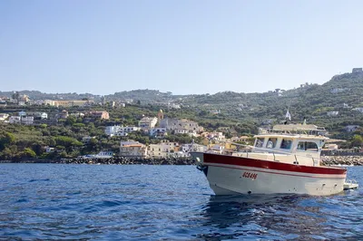 Discover Capri's Charms: Semi-Private Boat Tour with Caves & Swimming